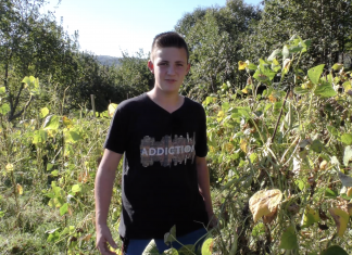 ¿D’ónde vienen les fabes?