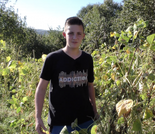 ¿D’ónde vienen les fabes?