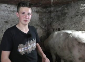 Lo meyor de… La Casería