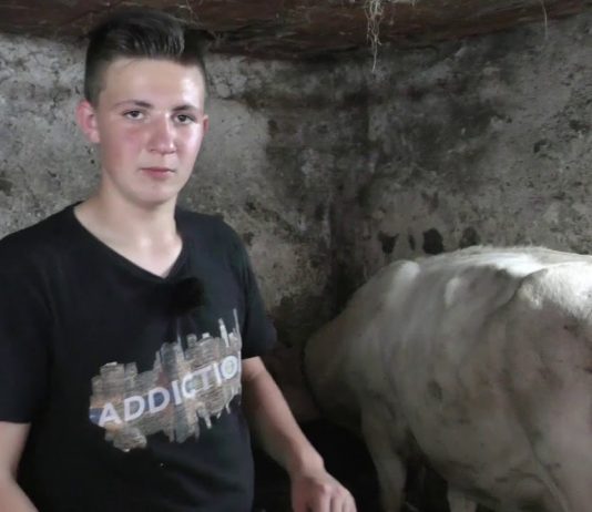 Lo meyor de… La Casería