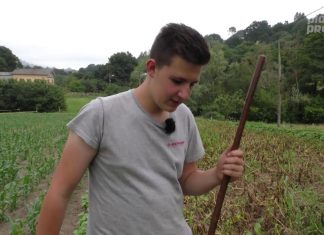 El maiz y les pataques