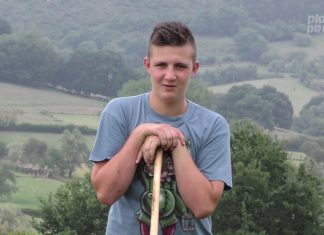 Polémica colos perros