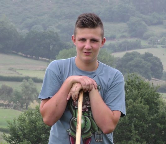 Polémica colos perros