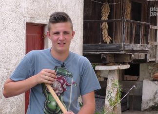 El peligru de l’aviespa asiática