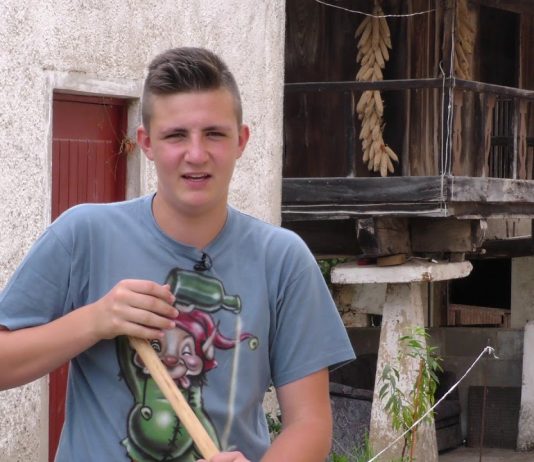 El peligru de l’aviespa asiática