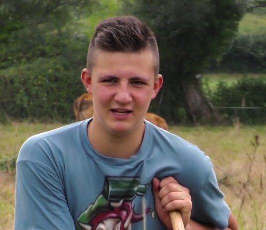 Consumir productos asturianos