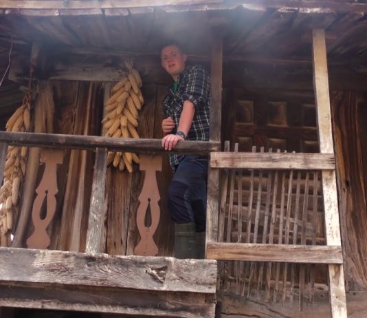 Les partes d’un horru