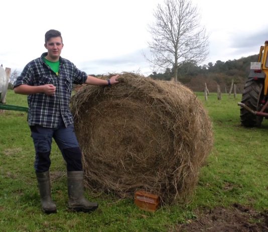 Trabayar col tractor
