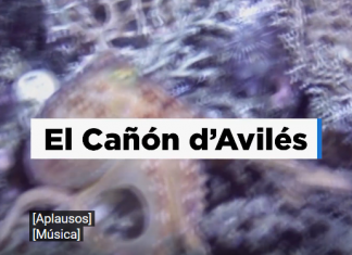 El Cañón d’Avilés, descubriendo l’Asturies somarina.