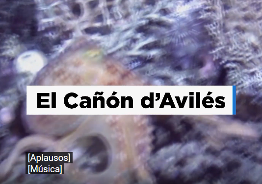 El Cañón d’Avilés, descubriendo l’Asturies somarina.