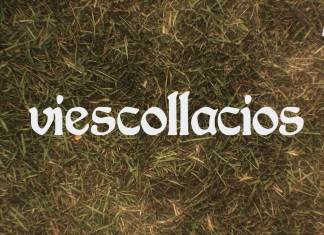 Viescollacios | La Pogona Vitticeps o dragon barbudu | 1×05